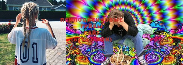 mdma Горнозаводск