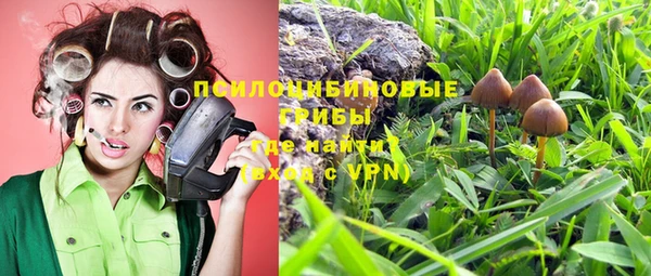 mdma Горнозаводск