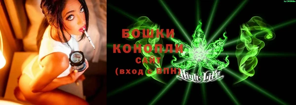 винт Горняк