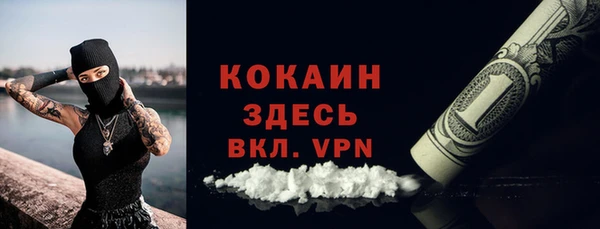 винт Горняк