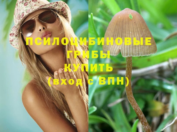 круглые Горно-Алтайск
