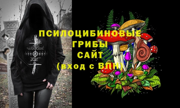 mdma Горнозаводск