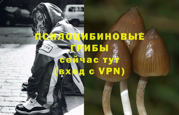 винт Горняк