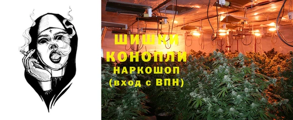 винт Горняк