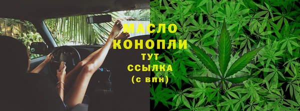 винт Горняк