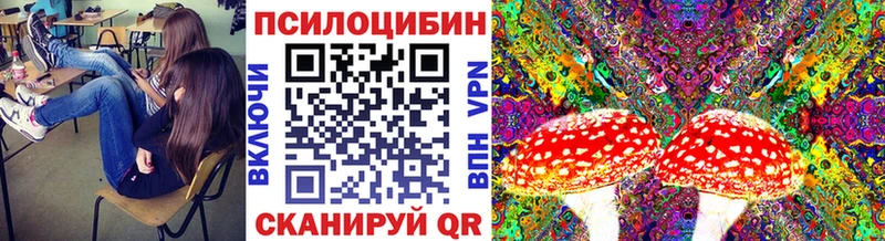 Купить  Киренск  Псилоцибиновые грибы прущие грибы 
